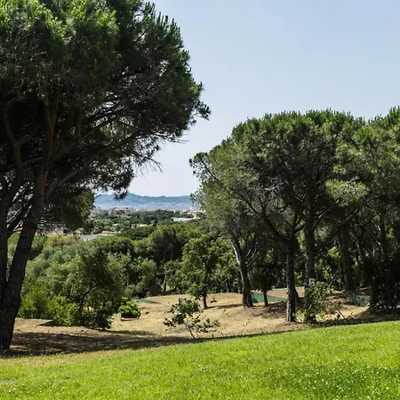 Pieces Pers Proche Commerces - Pieces 58 *